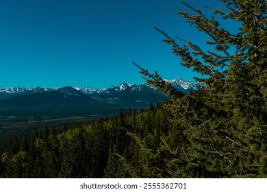 A breathtaking view of a mountainous landscape under a clear blue sky. The foreground features lush green trees, while the background showcases snow-capped peaks and a valley. - Powered by Shutterstock