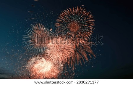 A breathtaking view of multiple fireworks exploding in the dark night sky, creating a dazzling spectacle of light and color.
