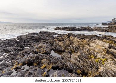 A breathtaking view of the rugged Rocky coastline at Botanical Beach in Vancouver Island, British Columbia. Wide waves meet interesting geological patterns, creating a picturesque coastal scenery - Powered by Shutterstock