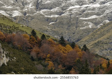 A breathtaking view of snow-capped mountains surrounded by a vibrant forested valley, captured under a cloudy sky in Ordesa National Park. - Powered by Shutterstock