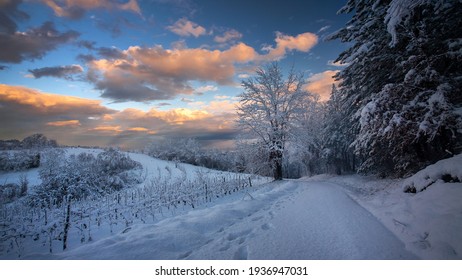 A breathtaking view of a snowy pathway and trees covered in snow gleaming under the cloudy sky 