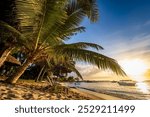 Breathtaking view of a stunning tropical beach at Grand Baie, Mauritius, with fine sand and lined with coconut trees at sunset during the golden hour