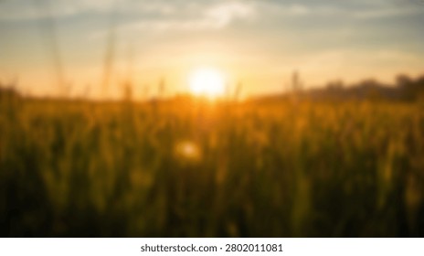 A breathtaking view of a vibrant sunset casting a warm golden glow over a sprawling field filled with blooming wildflowers.