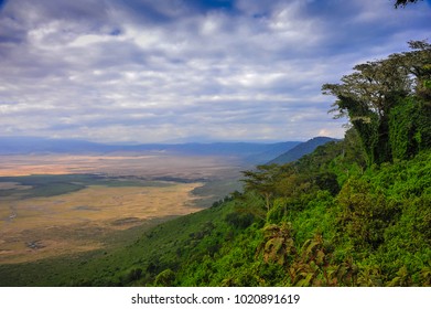 Breathtaking Views To Ngorongoro From Above. Lush Green Jungle Covers The Mountain Sides, Distant Views Across The Crater Floor With Dark Stormclouds In The Background