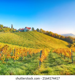 Breathtaking Vineyards Landscape In South Styria Near Gamlitz. Autumn Scene Of Grape Hills In Popular Travell Destination Eckberg. Location: Gamlitz, District Of Leibnitz In Styria, Austria. Europe.