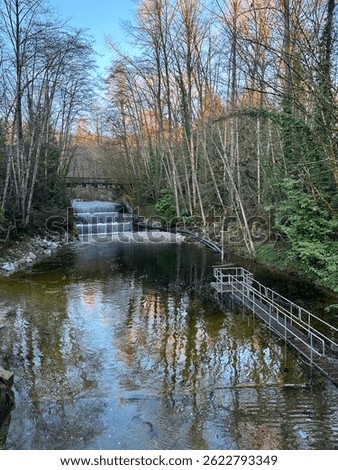 A breathtaking waterfall cascades through North Vancouver’s lush forest, surrounded by vibrant greenery and a peaceful river, capturing the essence of nature’s beauty.