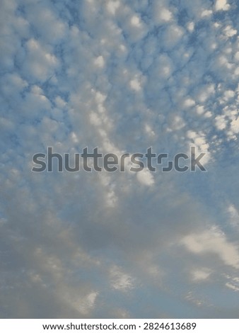 Breathtaking wide view of a dramatic sunset sky filled with textured altocumulus clouds, golden horizon, and building silhouettes at twilight, beautiful nature background