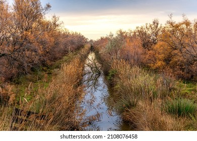 Breathtaking Winter Landscape In The Badlands Of Camargue France