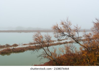 Breathtaking Winter Landscape In The Badlands Of Camargue France