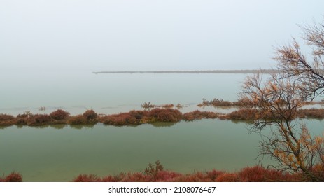 Breathtaking Winter Landscape In The Badlands Of Camargue France