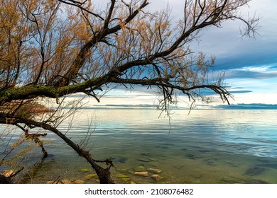 Breathtaking Winter Landscape In The Badlands Of Camargue France