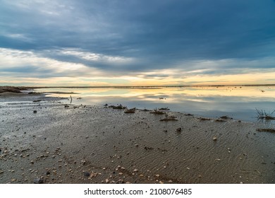 Breathtaking Winter Landscape In The Badlands Of Camargue France