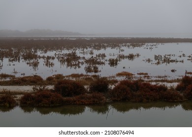 Breathtaking Winter Landscape In The Badlands Of Camargue France