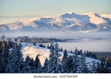 Breathtaking winter landscape featuring snow-capped mountains bathed in golden morning light. Snow-laden trees stand tall in foreground, while layers of mist gently veil valleys below. - Powered by Shutterstock