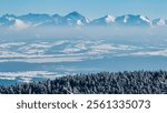 Breathtaking winter wonderland landscape with panoramic view of majestic snow capped mountain range Tatras seen from top of Polica in Zawoja, Zywiec Beskids, Poland. Forest cloaked in frost and ice