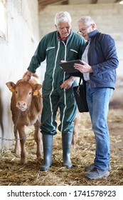 Breeder Meeting With Financial Advisor In Barn 