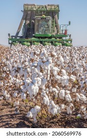 Breeza, Australia - May 6, 2015.  A cotton harvester farming a farm crop of cotton.