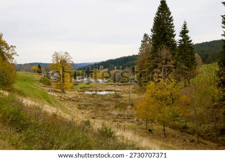 The Breg Spring is considered the source of the Danube
