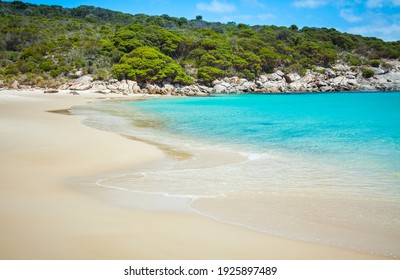 Bremer Bay, Western Australia. Perfect beach with golden sand, turquoise ocean and lush green background of foliage on a rocky outcrop.
