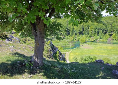 Brenz Valley, Swabian Alps, Germany