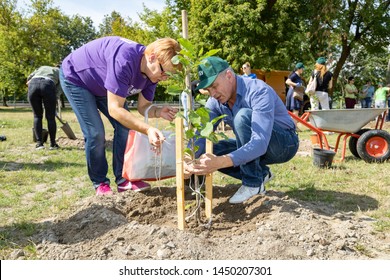 Brest, Belarus - July 13, 2019: People plant trees in the city park. The event "1000 trees for the 1000th anniversary of Brest."