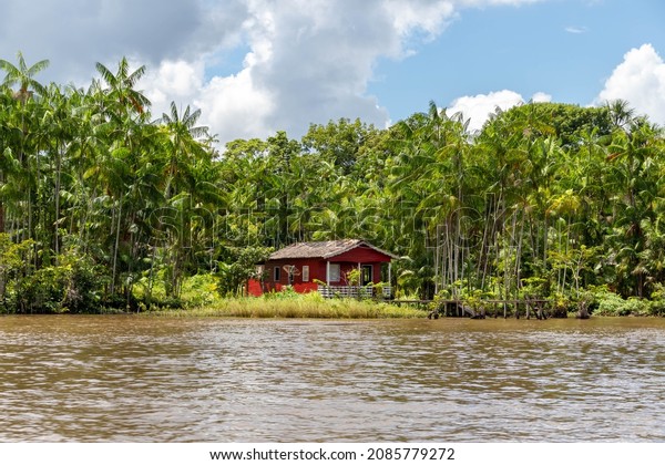 Breves, Para, Brazil - Nov 07, 2021:\
Traditional stilt houses on riverbanks in Amazon rainforest. Para\
state\'s common residences. Way of live in the\
Amazon.