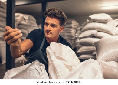 Brewer examining the barley from gunny bag at brewery factory. Young male employee checking the barley seeds before they are enter in the system of brewing. - Powered by Shutterstock