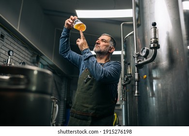 brewer examining taste and color of the beer in his craft beer brewery - Powered by Shutterstock