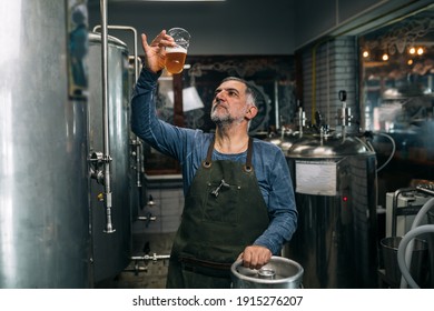 brewer examining taste and color of the beer in his craft beer brewery - Powered by Shutterstock