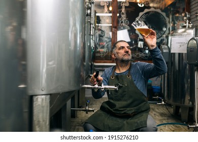 brewer examining taste and color of the beer in his craft beer brewery