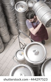 Brewer Moving Kegs In Brewery