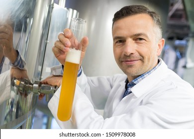 brewer pouring beer in hydrometer cylinder at brewery factory - Powered by Shutterstock