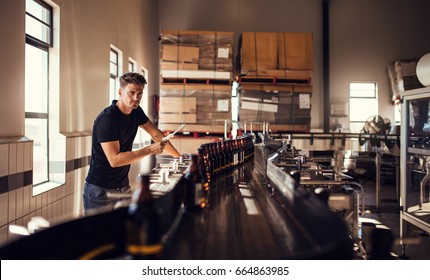 Brewer supervising the process of beer manufacturing in brewery plant. Young man at the beer bottling machine in factory.