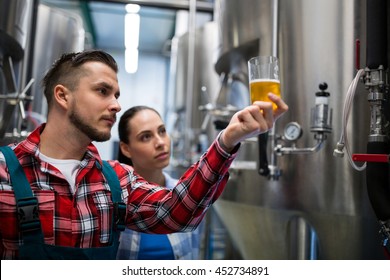 Brewers testing beer at brewery - Powered by Shutterstock