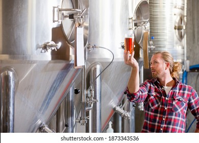 Brewery Worker Checking quality of a Beer Sample - Powered by Shutterstock