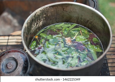 Brewing Ayahuasca Hd Stock Images Shutterstock