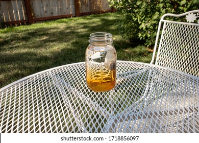 Brewing Sun Tea Or Sweet Tea In A Mason Jar Outdoors On A Warm Summer Day