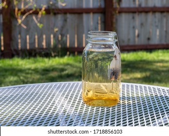 Brewing Sun Tea Or Sweet Tea In A Mason Jar Outdoors On A Warm Summer Day