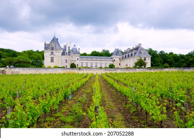 Breze Chateau and vineyard from Loire Valley, France