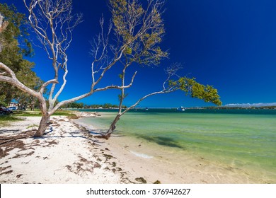 Bribie Island Images, Stock Photos &amp; Vectors | Shutterstock