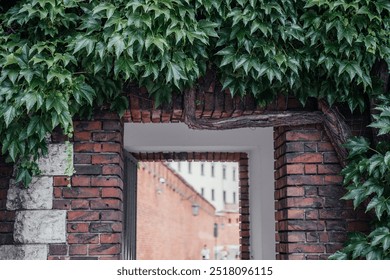 Brick Archway Covered in Green Ivy Vines - Powered by Shutterstock