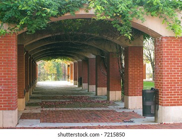 A Brick Archway Covered In Natural Foliage.