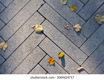 Brick background. Gray brick paving stones on the sidewalk with autumn leaves. Top view. Close-up, selective focus, copy space - Powered by Shutterstock