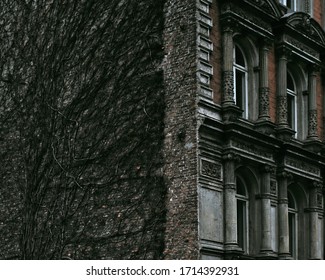 Brick Building Overgrown With Ivy Without Leaves. Neoclassicism.