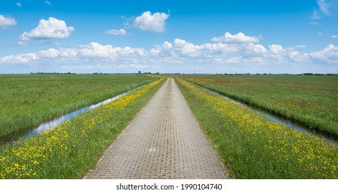 brick country road trough meadow landscape with wild yellow flowers and canals under blue sky in holland