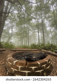 Brick Forest Fire Pit Surrounded by Mossy Logs in Misty Woodland
