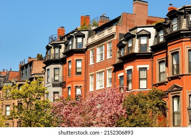 Brick house and cherry blossom in Boston historical Back Bay, Boston Massachusetts