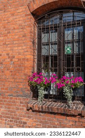 brick house window with bars and flowers on the sill