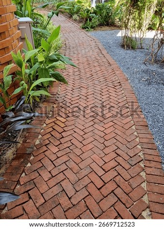 Brick path in the garden.