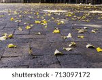 Brick path with leaves